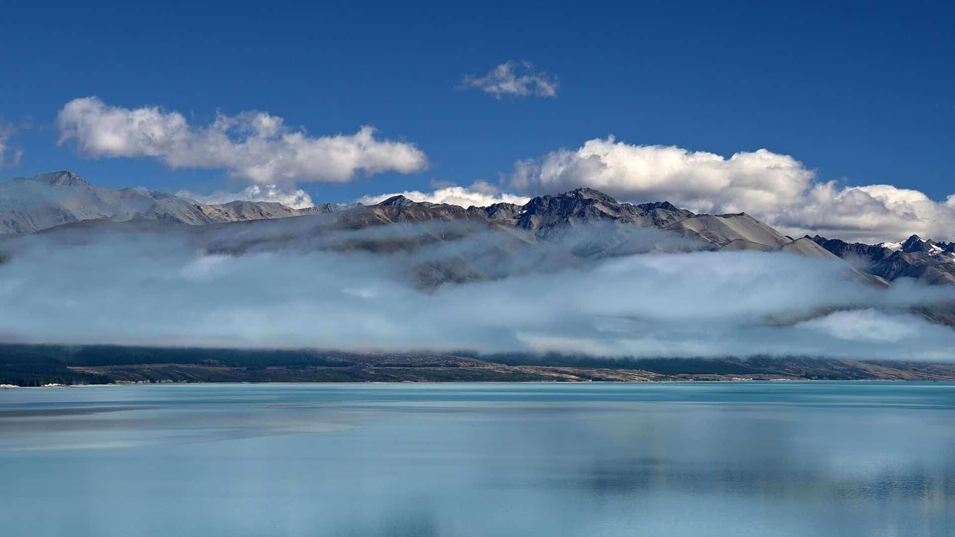 new zealand 1