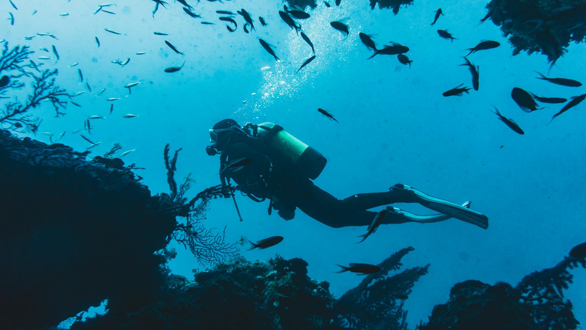 Deep sea diver 4