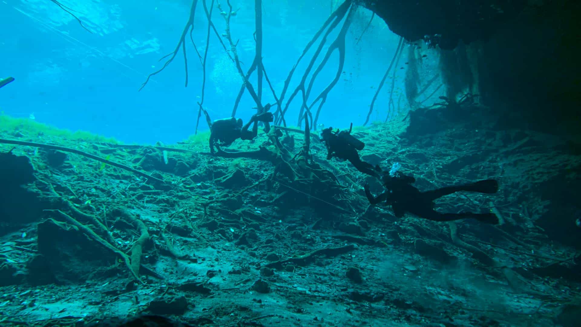 Deep sea diver 5